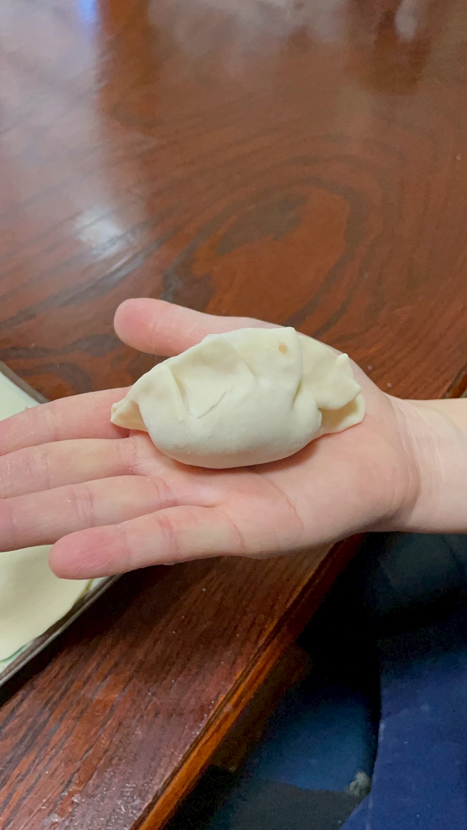 Gyoza making