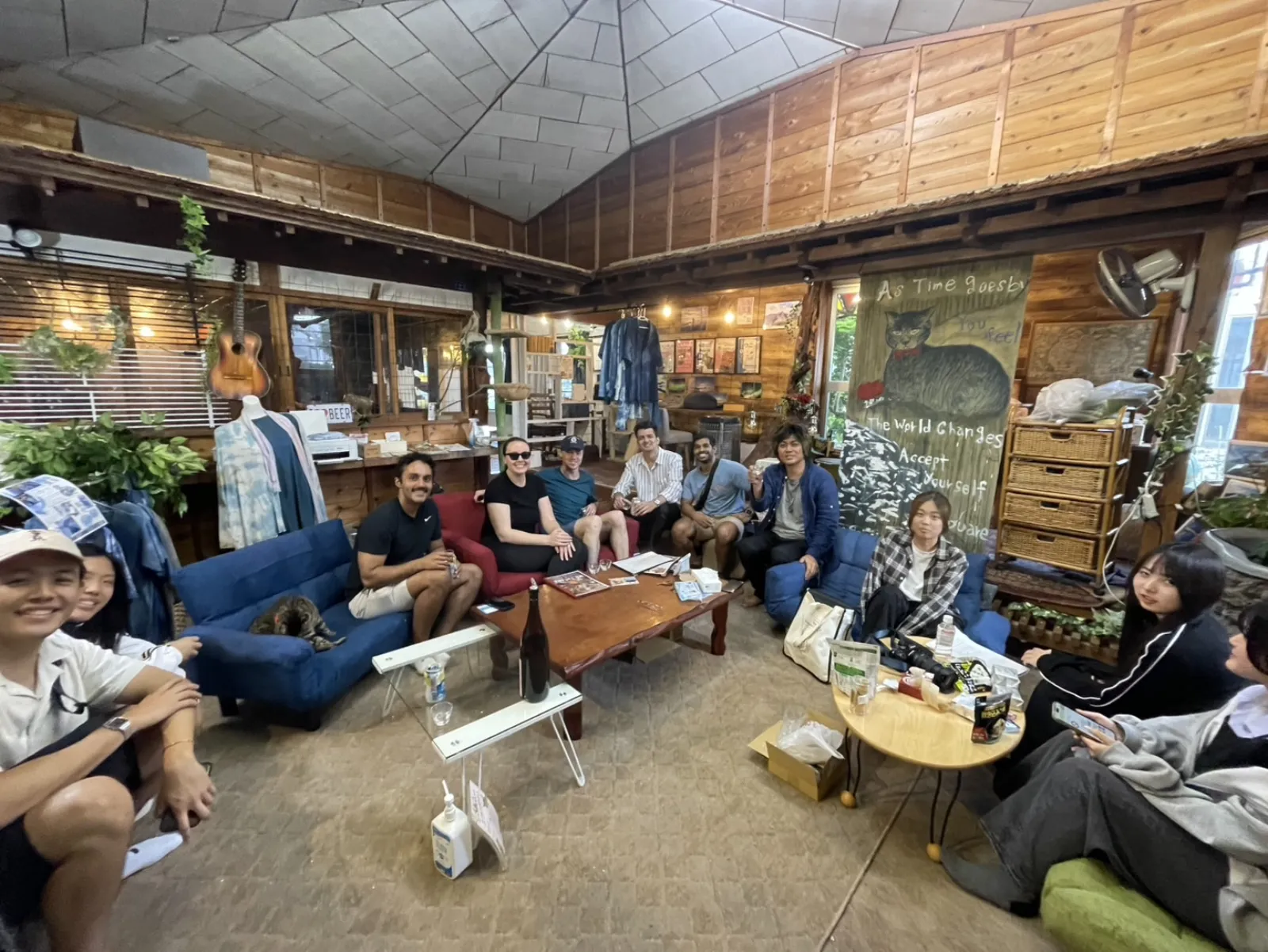 Cat cafe interior